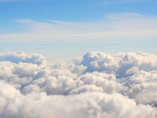 Pero kalimero 9BJRGlqoIUk unsplash